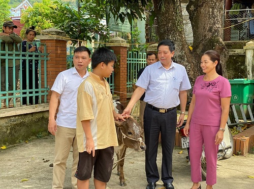 VNPT trao tặng bò giống cho các hộ chính sách có hoàn cảnh đặc biệt khó khăn tại Điện Biên