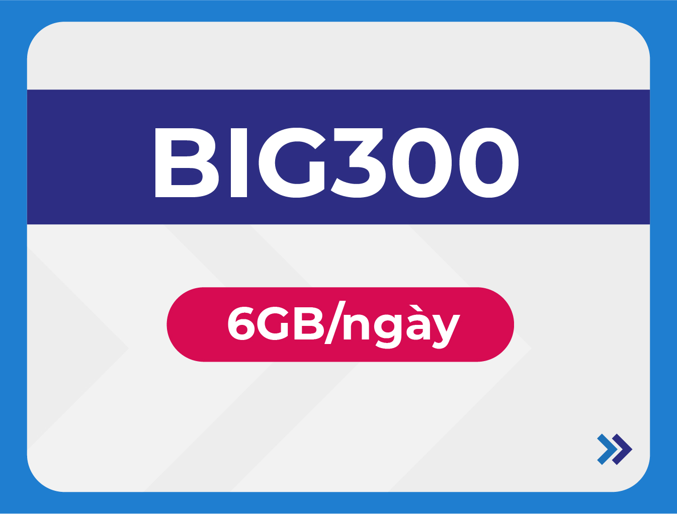 BIG300