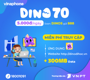 DINO5